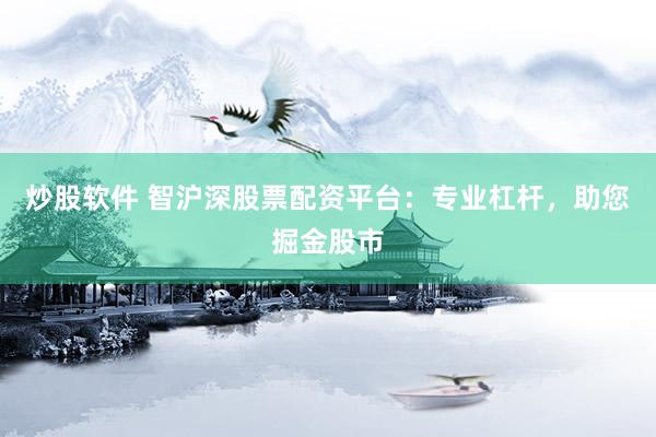 炒股软件 智沪深股票配资平台：专业杠杆，助您掘金股市