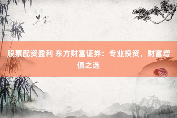 股票配资盈利 东方财富证券：专业投资，财富增值之选