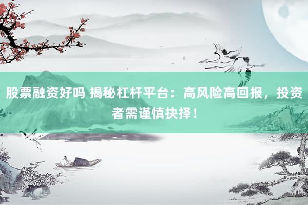 股票融资好吗 揭秘杠杆平台：高风险高回报，投资者需谨慎抉择！