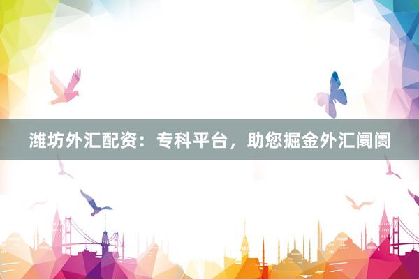潍坊外汇配资：专科平台，助您掘金外汇阛阓