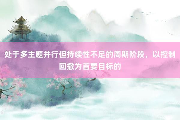 处于多主题并行但持续性不足的周期阶段，以控制回撤为首要目标的