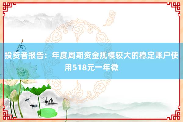 投资者报告：年度周期资金规模较大的稳定账户使用518元一年微