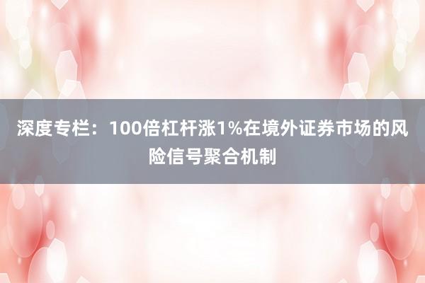 深度专栏：100倍杠杆涨1%在境外证券市场的风险信号聚合机制