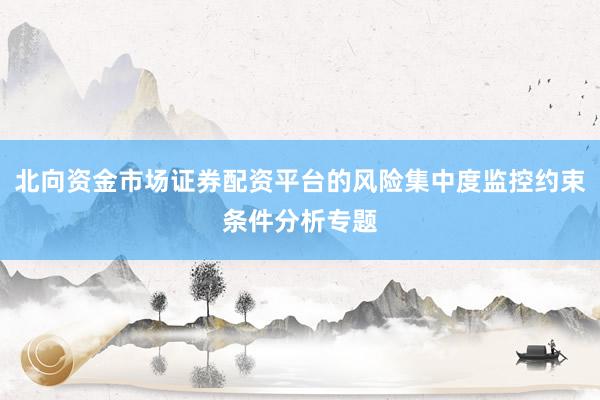 北向资金市场证券配资平台的风险集中度监控约束条件分析专题