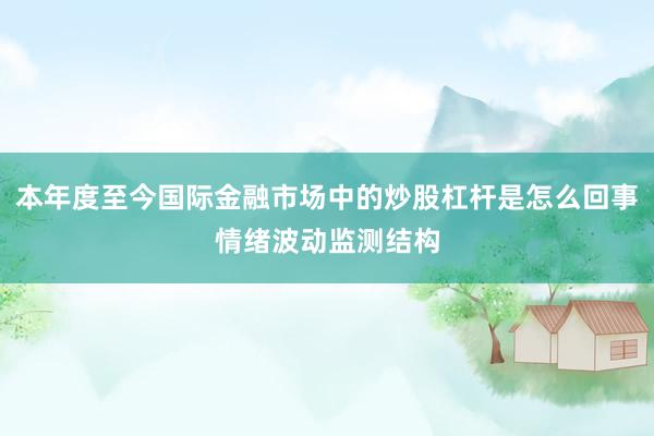本年度至今国际金融市场中的炒股杠杆是怎么回事情绪波动监测结构