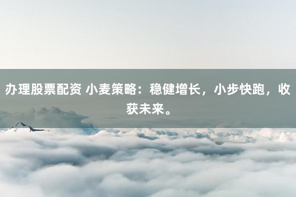 办理股票配资 小麦策略：稳健增长，小步快跑，收获未来。
